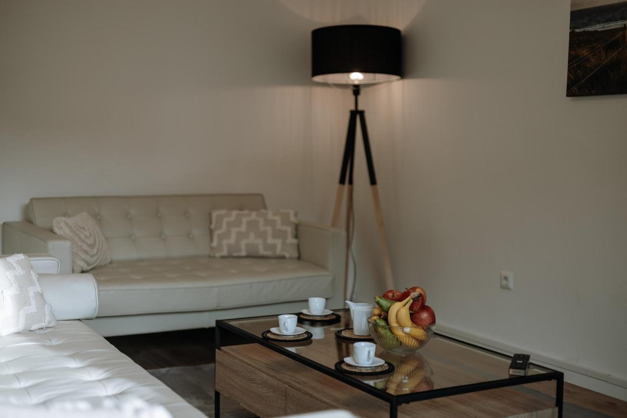 Stilvolles Appartement Mit Blick Auf Das Dreifluesse-Eck Passau Exterior foto